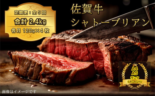 [定期便]5回お届け[鶴商興産]肉類/国産黒毛和牛 佐賀牛ヒレ シャトーブリアン 合計2.4kg(120g×4枚×5回)