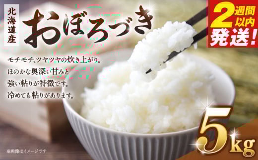 令和６年産　北海道産おぼろづき５kg【国産 白米 精米 お米 単一原料米 厳選 生活応援 おぼろづき おすすめ 北海道 美唄市】