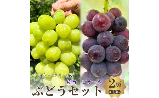 秋本番おすすめ感謝セット　マッターホルン+ピオーネ　2房セット [№5385-0507] 2135295 - 大阪府岸和田市