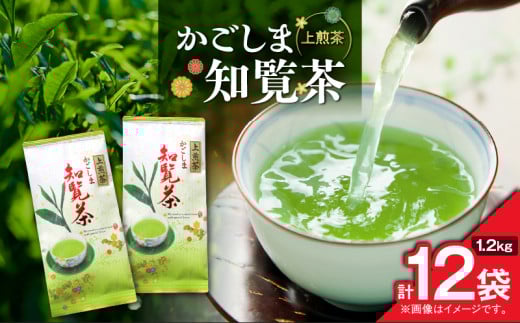 かごしま知覧茶 （100g×12袋）　K346-001_06 2155094 - 鹿児島県鹿児島市