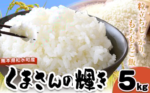 令和6年産 和水町産 くまさんの輝き 白米 5kg | 熊本県 和水町 くまもと なごみまち なごみ くまさんの輝き 白米 米 単一原料米 お米 5kg