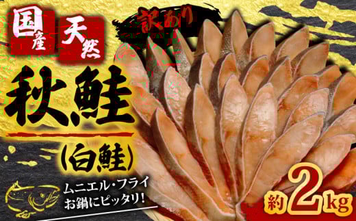 千葉県銚子市のふるさと納税 訳あり 国産 天然 秋鮭 （ 白鮭 ） 切身 約2kg 【調理におすすめ】 しゃけ 秋 さけ 鮭 ムニエル フライ 鍋 ホイル焼き 鮭茶漬け ちゃんちゃん焼き 料理 魚 魚貝 魚介 海鮮 規格外 不揃い 切身 冷凍 小分け お取り寄せ グルメ ギフト 贈物 贈答 プレゼント 無添加 長期保存 冷凍 冷凍食品 大容量 人気 おすすめ 送料無料 ふるさと納税 ふるさと納税鮭 千葉県 銚子市 辻野