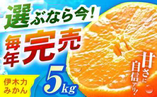 伊木力みかん 家庭用みかん 5kg みかん