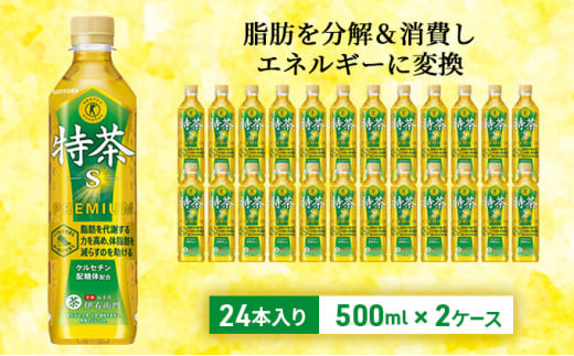 伊右衛門 特茶 500ml × 48本(2