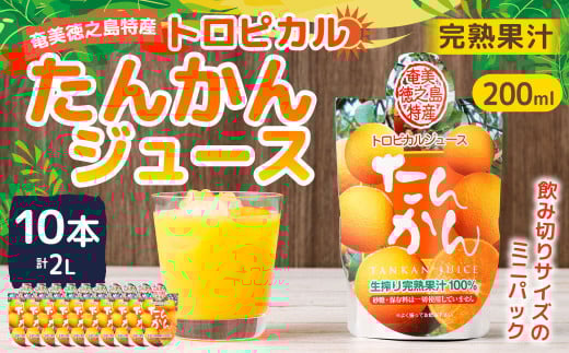 天城町産 生搾り完熟果汁100% 宝果樹園 ミニタンカンジュース 10本セット(200ml×10本) 合計約2.0L タンカン 果汁飲料 たんかん 果汁100% ジュース 飲み物 ドリンク 果物 くだもの セット 九州 鹿児島県 天城町 常温