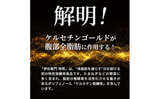 神奈川県綾瀬市のふるさと納税 伊右衛門 特茶 500ml × 48本(2ケース) サントリー 特定保健用食品 トクホ お茶 緑茶 ペットボトル 500 茶 日本茶 国産 トクホ茶 飲料 飲み物 ドリンク ペットボトル飲料 箱 ケース 脂肪 体脂肪 減らす 神奈川 神奈川県 綾瀬市