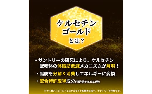 神奈川県綾瀬市のふるさと納税 伊右衛門 特茶 500ml × 48本(2ケース) サントリー 特定保健用食品 トクホ お茶 緑茶 ペットボトル 500 茶 日本茶 国産 トクホ茶 飲料 飲み物 ドリンク ペットボトル飲料 箱 ケース 脂肪 体脂肪 減らす 神奈川 神奈川県 綾瀬市