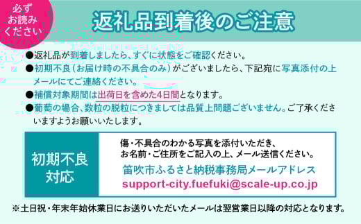 山梨県笛吹市のふるさと納税 ＜25年発送先行予約＞ご家庭用シャインマスカット2.2ｋｇ以上（3～4房） 111-021｜葡萄 ぶどう 葡萄 シャインマスカット 種無し 旬果 2.2キロ 産地 笛吹市産 山梨県産 フルーツ 果物 旬 シャイン マスカット 発送 期間限定 国産 2025年 ｜