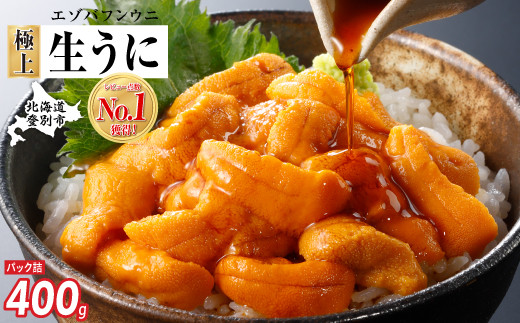 【4月-5月発送】極上 エゾバフンウニ 400g（パック詰）配送期間D：4月上旬〜5月下旬迄 高級 うに ウニ 雲丹 生うに バフンウニ 塩水 パック詰め ふるさと納税 北海道 登別市