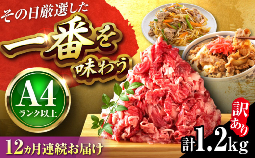 【全12回定期便】【訳あり】【A4~A5】博多和牛 切り落とし 1.2kg(600g×2P) 吉富町/株式会社MEAT PLUS [BGAB094]