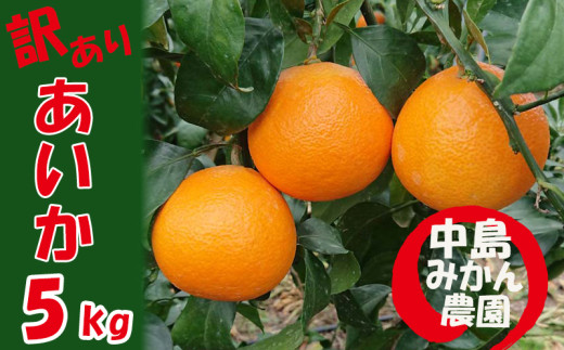 【2025年12月から順次発送】 愛果28号 訳あり 5kg 2138990 - 愛媛県松山市