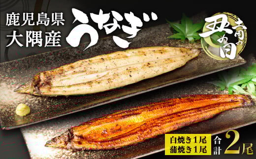 【土用丑の日】鹿児島県大隅産 千歳鰻の白焼1尾・蒲焼き1尾 合計2尾セット(1尾110g~130g) 2110667 - 鹿児島県大崎町