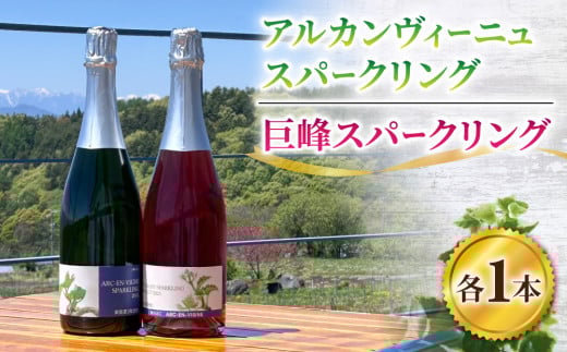 【アルカンヴィーニュ】アルカンヴィーニュスーパークリング＆巨峰スパークリングワイン２本セット　辛口 お酒 ギフト プレゼント 果実酒 瓶 国産 信州 長野県東御市