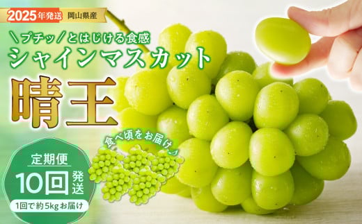 QQ-2　シャインマスカット 晴王 定期便 秀品 大房 約5kg 5-9房 10回発送 岡山県産 ぶどう ギフト 御礼 プレゼント 御礼 御祝 御供 果物 くだもの フルーツ