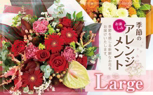 フラワー アレンジ 「Large」 お楽しみ 季節 の アレンジメント |  アレンジ タイプ 高さ約42cm 幅約40cm お花 flower フラワー ふらわー 花 はな リトルシード インテリア 植物 お任せ お見舞い ギフト お祝い 誕生日 親孝行 プレゼント贈り物 新鮮 調布  東京都 1114112 - 東京都調布市