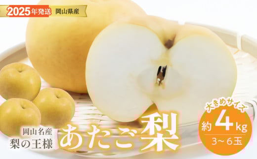 gg-105　梨 あたご梨  秀品 約4kg 岡山名産 日本一大きな梨 お歳暮 ギフト 御礼 プレゼント 御礼 御祝 御供 果物 くだもの フルーツ