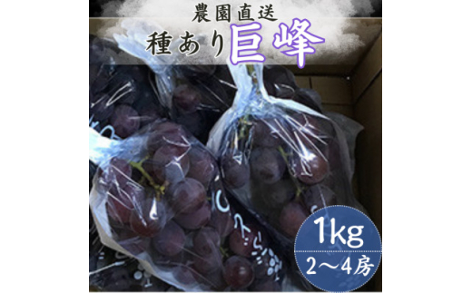 巨峰(種あり) 約1kg(2～4房)【1521761】 1383541 - 大分県日出町