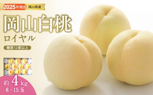 Gj-2　白桃 特秀 ロイヤル 大玉 約4kg 岡山県産 桃 もも  御中元 ギフト 御礼 プレゼント 御礼 御祝 御供 果物 くだもの フルーツ