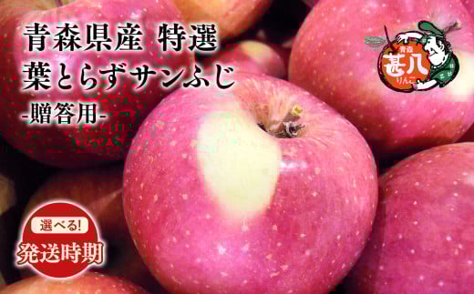 ≪選べる配送月≫１月発送 特選 甚八りんご 葉とらずサンふじ３kg 【青森県 平川市 マルジンサンアップル】１月発送 青森 青森県産 平川 りんご リンゴ 林檎 くだもの 果物 フルーツ 