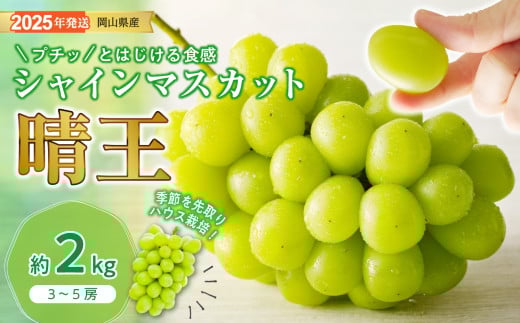 Fg-9　シャインマスカット 晴王 ハウス栽培 約2kg 岡山県産 ぶどう御中元 ギフト 御礼 プレゼント 御礼 御祝 御供 果物 くだもの フルーツ