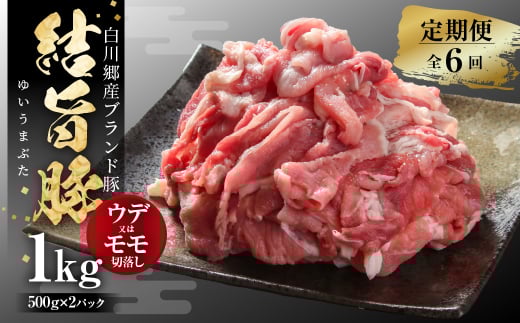 《定期便》全6回 結旨豚 ウデ又はモモ 切り落とし 500g×2パック 冷凍真空パック | 肉 お肉 豚肉 国産 食べ比べ セット 白川郷 岐阜県 白川村 ブランド豚 人気 おすすめ ギフト 飛騨高山ミート 60000円 [MS105]