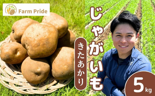 ＜先行予約＞Farm Prideが育てた じゃがいも きたあかり 5kg | じゃがいも きたあかり キタアカリ 野菜 料理 ポテトサラダ じゃがバター 産地直送 株式会社farmpride 埼玉県 所沢市
