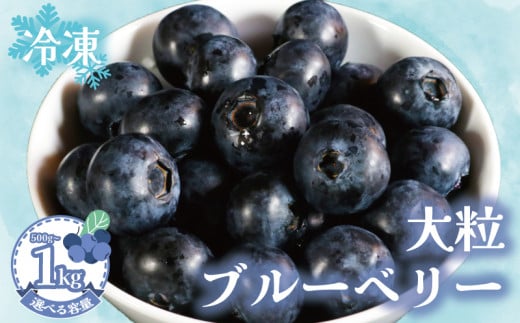 冷凍ブルーベリー [選べる容量] 約500g〜1kg(1袋500g) ブルーベリー 冷凍 フルーツ 大粒 特大 美容 健康 ダイエット 冷凍食品 デザート 果物 くだもの スムージー ジャム ヨーグルト チーズケーキ クレープ タルト お菓子 国産 お取り寄せ グルメ 贈答 プレゼント ギフト 10000円 ふるさと納税 送料無料 銚子産 千葉県 銚子市 アグリモバード