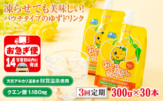 B2-22113／【3回定期】 ゆずドリンク 300g×30本 パウチ ゆずだもん。ウォーター