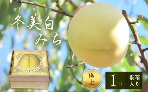 桃 2025年 先行予約 白桃 冬美白 とうびはく 極上1玉 「みち」 桐箱入り もも モモ 令和7年 岡山 赤磐市産 国産 フルーツ 果物 ギフト 果肉 しっかり 柔らかい 食感 大変貴重 高糖度 栽培方法