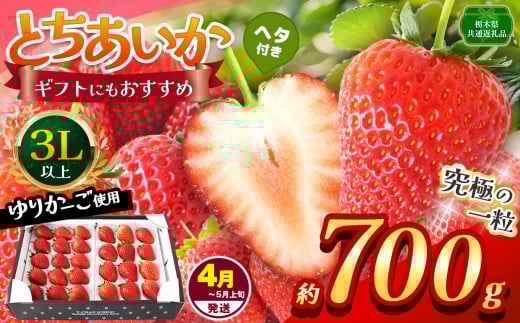 【栃木県共通返礼品】【4~5月発送分】【先行予約】訳あり とちあいか 3L以上ホール詰め 700g | いちご とちあいか 香貴 朝採れ 大粒 新鮮 甘い  数量 限定 美味しい 果物 共通返礼品 フルーツ デザート 栃木県 那珂川町 送料無料