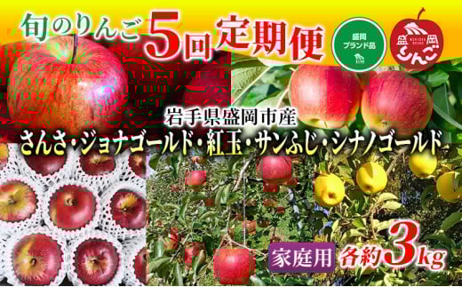 先行予約 りんご 定期便 5回 5種類のりんご 家庭用 約3kg 10玉前後 盛岡ブランド認証 果物 フルーツ 旬の果物 旬のフルーツ 季節の果物 季節のフルーツ 林檎 リンゴ 岩手りんご 岩手 岩手県 盛岡市