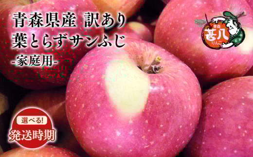 ≪選べる配送月≫１月発送 訳あり 家庭用 甚八りんご 葉とらずサンふじ３kg【青森県 平川市 マルジンサンアップル】１月発送 青森 青森県産 平川 りんご リンゴ 林檎 くだもの 果物 フルーツ 