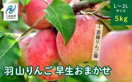 《2025年8月下旬以降順次発送》羽山のりんご　早生おまかせL〜2Lサイズ5kg りんご リンゴ 果物 フルーツ 羽山りんご 5kg 早生 人気 くだもの おすすめ お中元 お歳暮 ギフト 二本松市 ふくしま 福島県 送料無料【斎藤りんご園】 2136499 - 福島県二本松市