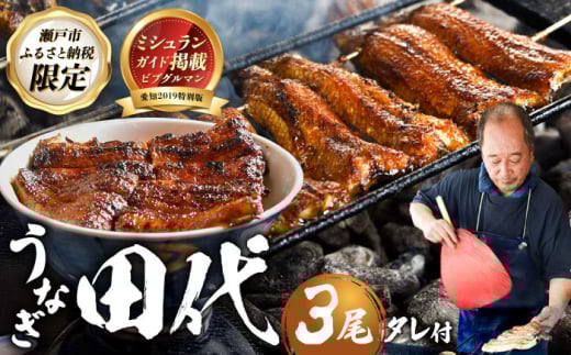 【4月発送】炭火焼き 国産うなぎ 蒲焼 3尾 / ウナギ 鰻 蒲焼 炭火 かば焼き / 瀬戸市 / うなぎ田代 [BBCA003] [BBCA003]