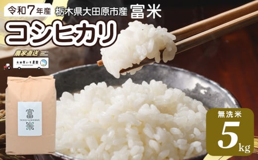 【先行予約】≪10月中旬以降発送≫令和7年産 栃木県大田原市産コシヒカリ「富米」 無洗米　5キロ ｜米 お米 新米 無洗米 コメ こしひかり 5kg
