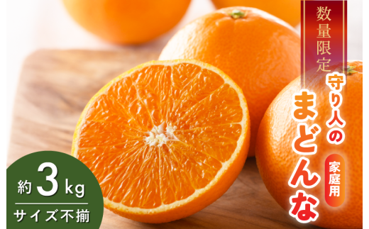 [先行予約] [数量限定] 守り人のまどんな 3kg（家庭用） [K003060] 12月上旬～12月下旬に順次発送予定 まどんな 愛媛 マドンナ まどんな みかん 愛媛県 果物 フルーツ みかん 3kg 年内発送 甘い 高級 柑橘類 守り人