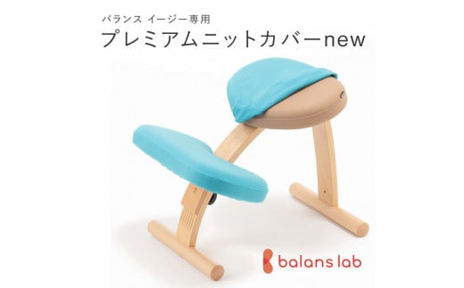 バランスイージー専用プレミアムニットカバーnew（ライトブルー）はっ水加工【 バランスイージー カバー 大阪府 門真市 】 2040647 - 大阪府門真市