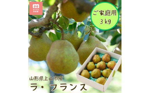 西洋梨(ラ・フランス)3kg ご家庭用 0055-2513 337915 - 山形県上山市