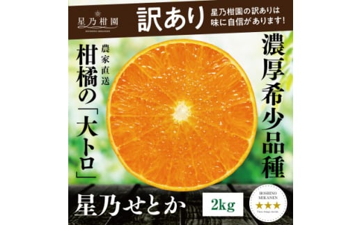 ＜訳あり＞星乃せとか 柑橘の大トロ(2kg)＜C45-92＞【1625775】