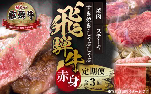 《定期便》全3回 飛騨牛 赤身（ステーキ /焼肉 / すき焼き）[飛騨高山ミート] | 冷凍真空パック 肉 お肉 すきやき 黒毛和牛 和牛 人気 おすすめ 牛肉 [MZ103] 2151140 - 岐阜県白川村
