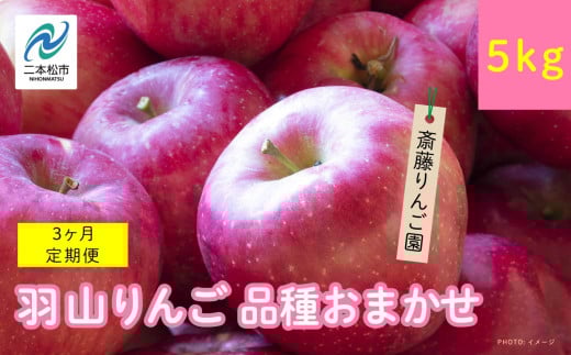 【3ヶ月定期便】品種おまかせ！羽山のりんご5kg×3回 りんご リンゴ 果物 フルーツ 羽山りんご 5kg 早生 人気 くだもの おすすめ お中元 お歳暮 ギフト 二本松市 ふくしま 福島県 送料無料【斎藤りんご園】 2136498 - 福島県二本松市