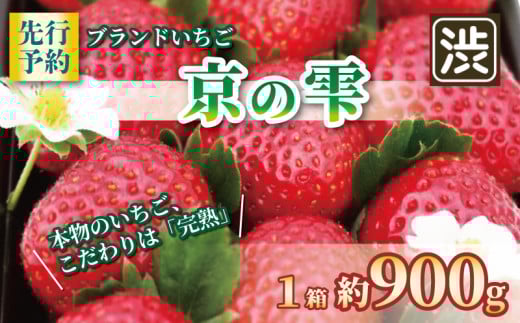 【京都のブランドいちご】 京の雫 いちご 約900g 20～28粒入り×1箱 《2025年12月～2026年5月発送》 イチゴ 苺 完熟 ストロベリー ベリー フルーツ くだもの 果物 ブランド デザート ケーキ ジャム デザート おやつ 甘い 糖度 新鮮 産地 直送 フレッシュ 人気 おすすめ ふるさと納税 京都 八幡 八幡市 渋谷農園 2164266 - 京都府八幡市