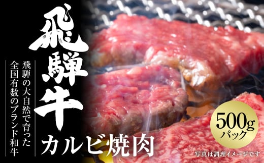 飛騨牛 カルビ焼肉 500g 冷凍真空パック 飛騨高山ミート | 肉 お肉 焼肉 焼き肉 やきにく 黒毛和牛 和牛 人気 おすすめ 牛肉 ギフト お取り寄せ [MZ037] 2151137 - 岐阜県白川村