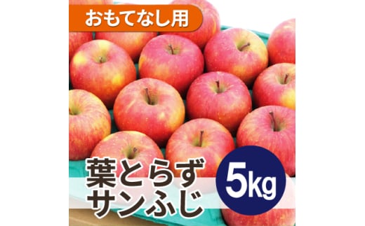 ＜2025年11月発送予定＞平均糖度13度以上! 葉とらずサンふじ 約5kg おもてなし用【1607467】 2059325 - 青森県青森市