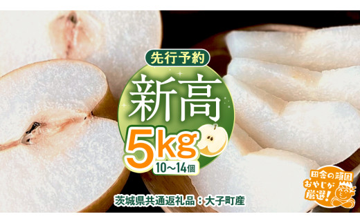梨 新高 5kg(10〜14個)[2025年10月より発送開始](茨城県共通返礼品 [梨]:大子町産)田舎の頑固おやじが厳選! なし 新高梨 和梨 フルーツ 果物 くだもの 高糖度 ギフト 茨城
