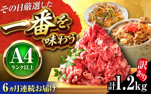 【全6回定期便】【訳あり】【A4~A5】博多和牛 切り落とし 1.2kg(600g×2P) 吉富町/株式会社MEAT PLUS [BGAB093]