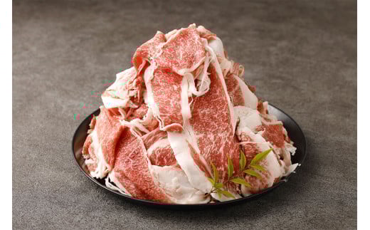 くまもと黒毛和牛 プレミアム和王 切り落とし 計約1kg（約500g×2） 黒毛和牛 和牛 牛肉 牛 お肉 肉 切落し