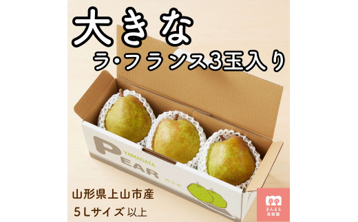 西洋梨(ラ・フランス)3玉 大玉 特秀品 0055-2518 321740 - 山形県上山市