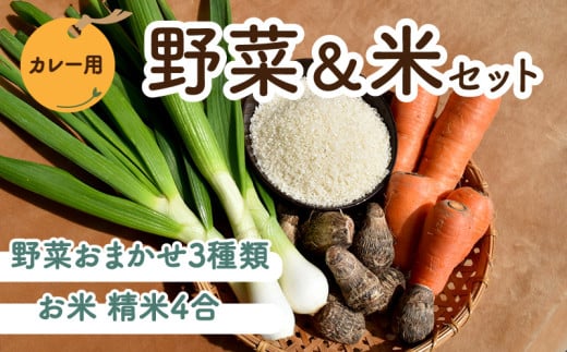 【先行予約】 野菜 米 セット カレー用 農薬不使用 自然栽培 | お米 野菜 里芋 玉ねぎ 人参 さつまいも 農薬 不使用 カレー カレーライス 期間限定 愛媛県 松山市