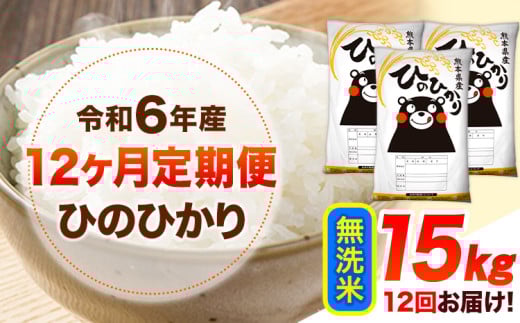 令和6年産 【12ヶ月定期便】 無洗米 ひのひかり 15kg 《お申し込み月の翌月から出荷開始》 熊本県産 無洗米 精米 ひの 送料無料 熊本県 山江村 SDGs 米 コメ こめ 国産 1607373 - 熊本県山江村